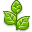 FFresh Plant.png