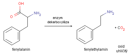 Dekarboxylace fenylalaninu.PNG