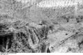 Bundesarchiv Bild 101I-316-1173-02, Italien, befestigte Stellung, getarntes Geschütz.jpg