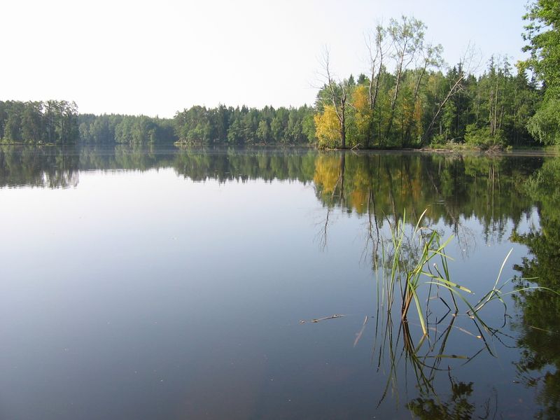 Soubor:Lake in ceska canada.jpg