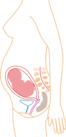 6. měsíc