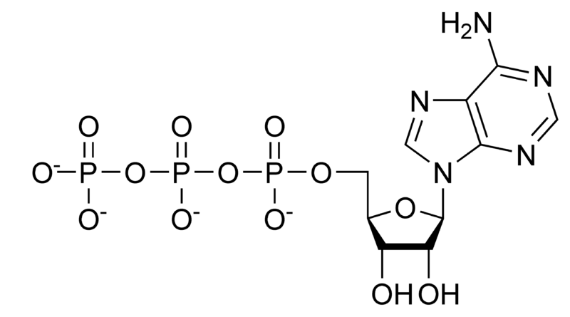 Soubor:ATP chemical structure.png