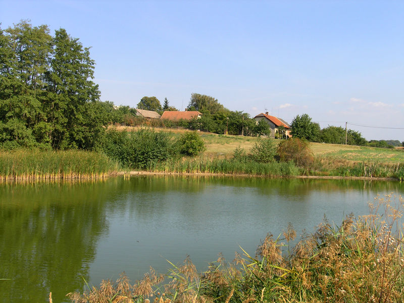 Soubor:Hvozdnice, south pond.jpg