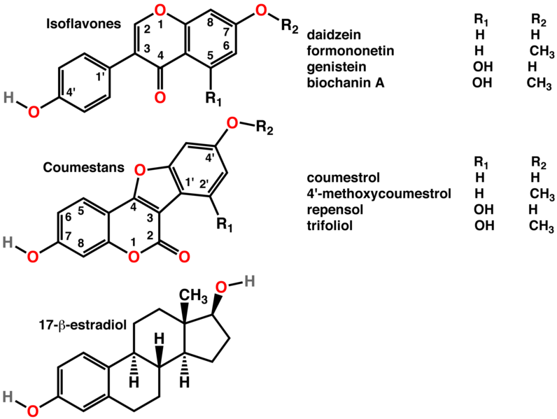 Soubor:Phytoestrogens2.png