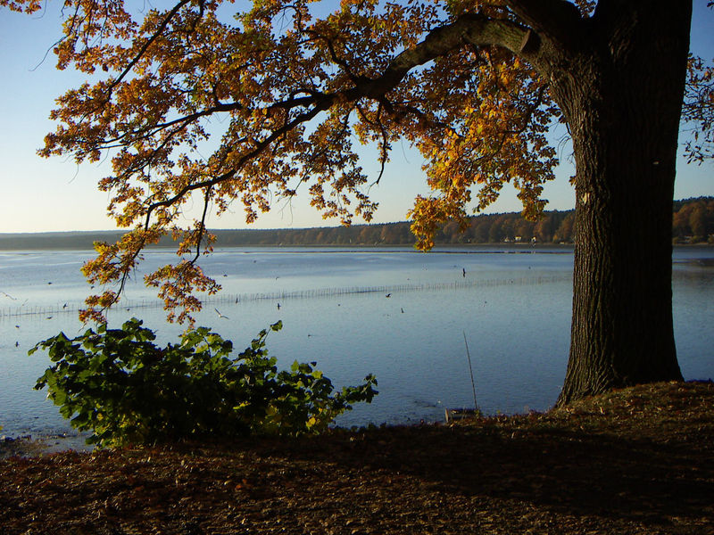 Soubor:Bezdrev in October.jpg