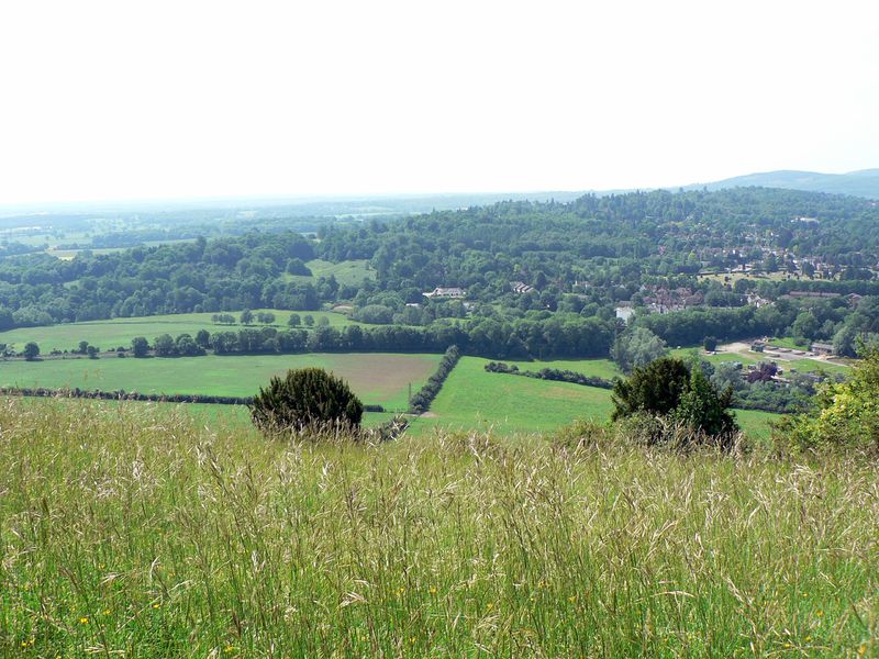 Soubor:Boxhill surrey viewfromtop.jpg