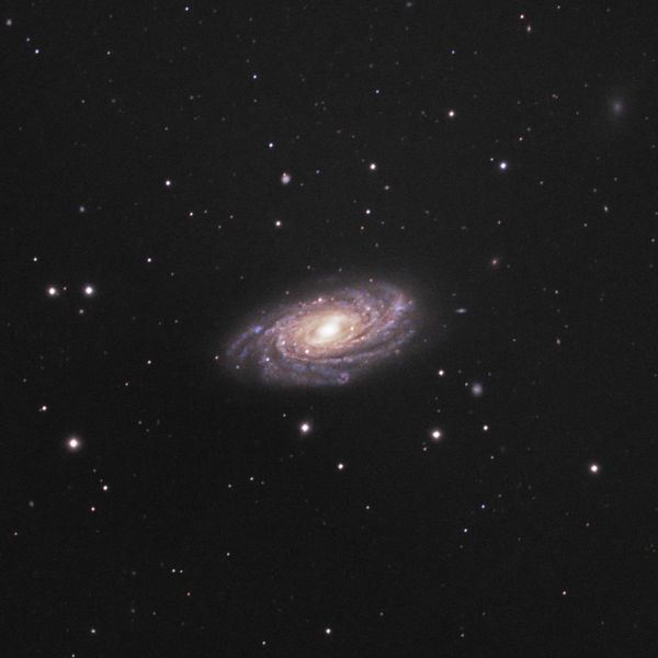 Soubor:NGC3953HunterWIlson.jpg