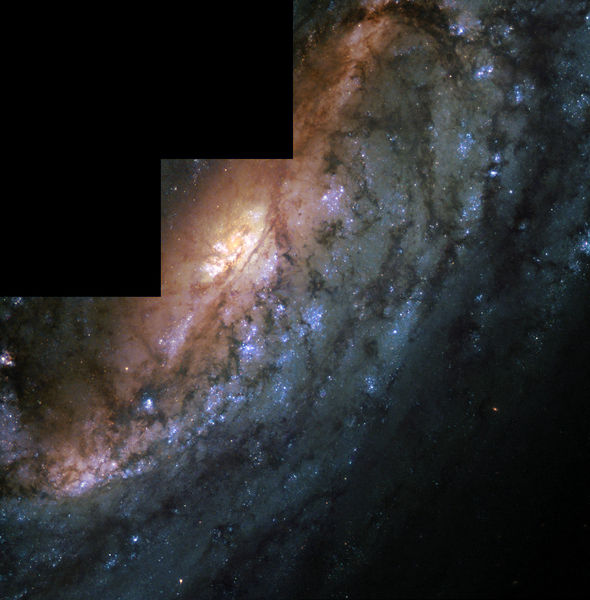 Soubor:Ngc2903hst.jpg