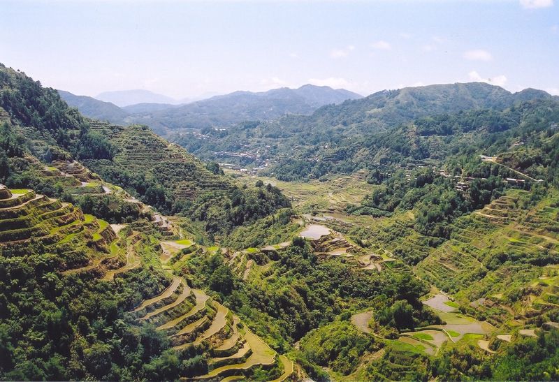 Soubor:Rice Terraces Banaue.jpg