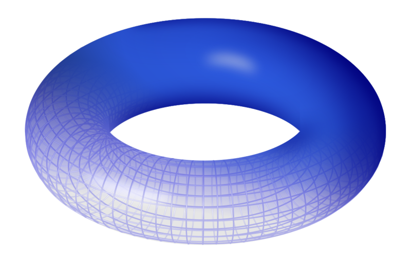 Soubor:Torus.png