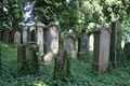 Jewish cemetery in Uhříněves 43.JPG
