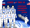 Soyuz-TMA-18-Mission-Patch.png