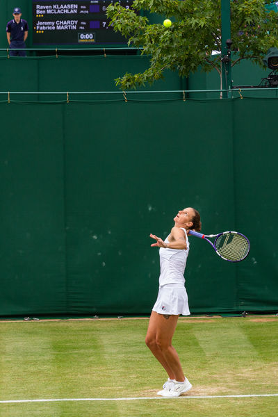 Soubor:Wimbledon 2021-020-ASFlickr.jpg