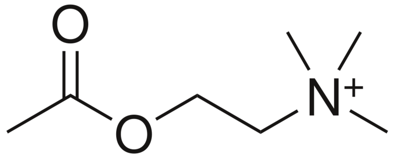 Soubor:Acetylcholine.png