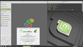 Linux Mint Ulyssa-2021-02-06-04.png