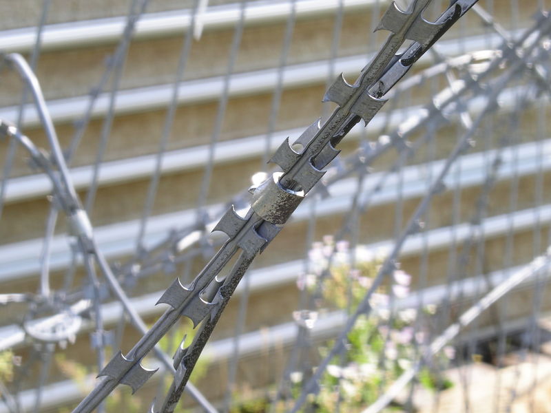 Soubor:Razor wire, detail.jpg