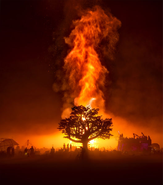 Soubor:Burning Man Portfolio-TRFlickr.jpg