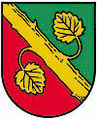 AUT Alberndorf in der Riedmark COA.jpg