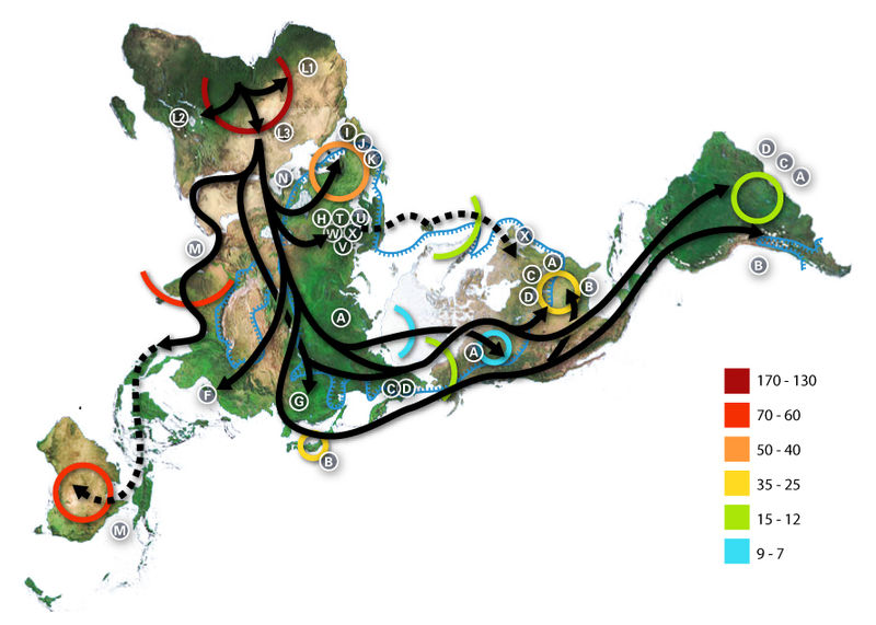 Soubor:Map-of-human-migrations.jpg