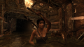 Tomb Raider GOTY-2013-021.png