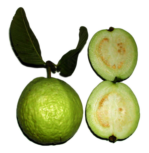 Soubor:Psidium guajava fruit.jpg