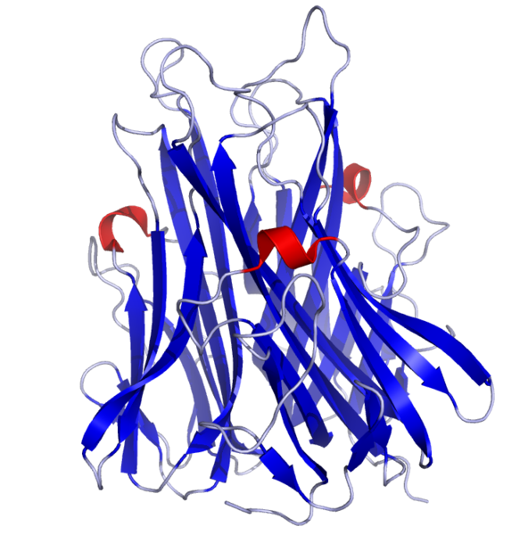 Soubor:TNFa Crystal Structure.rsh.png