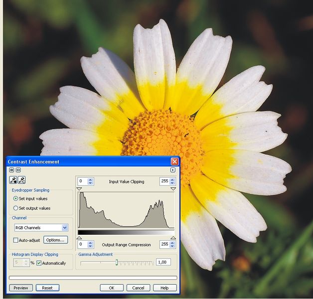 Soubor:Daisy histogram.jpg