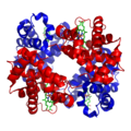 1GZX Haemoglobin.png