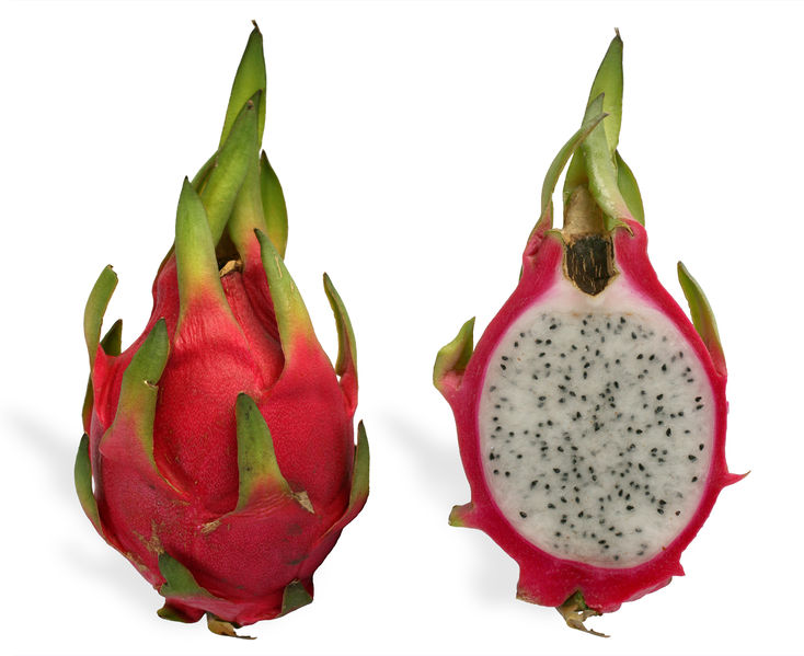 Soubor:Pitaya cross section ed2.jpg