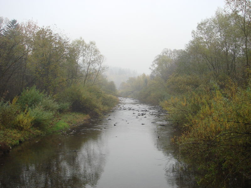 Soubor:Olše nad Bukovcem.jpg