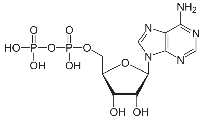 Soubor:Adenosindiphosphat protoniert.png