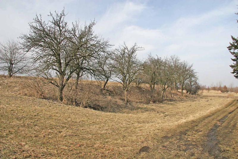 Soubor:Libické hradiště - příkop.jpg