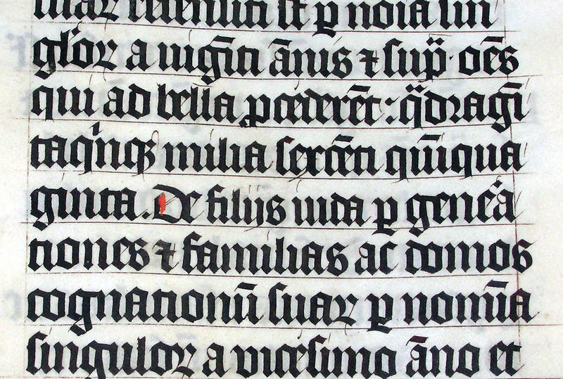 Soubor:Calligraphy.malmesbury.bible.arp.jpg