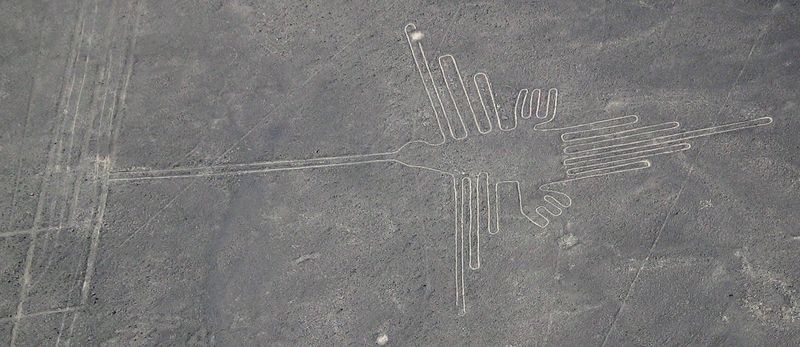 Soubor:Nazca colibri.jpg