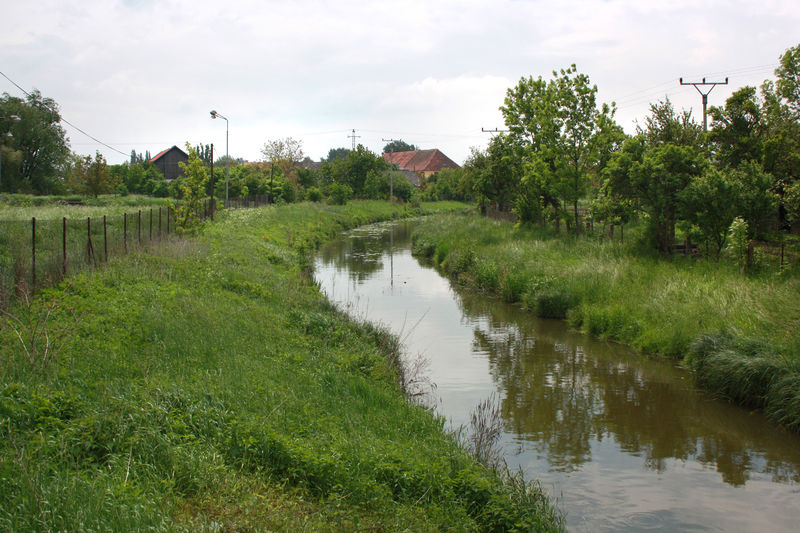 Soubor:Rožďalovice, Mrlina River.jpg