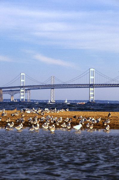 Soubor:Chesapeake Bay Bridge.jpg