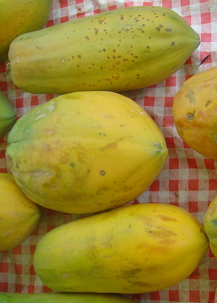 Soubor:Carica papaya dsc07806.jpg