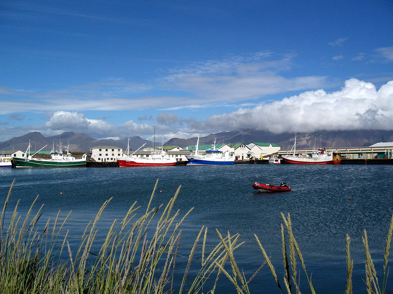 Soubor:Iceland Höfn.jpg