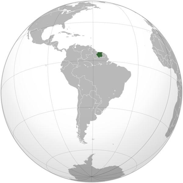 Soubor:Suriname (orthographic projection).png