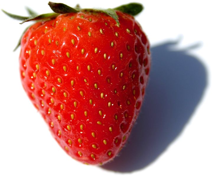 Soubor:Fragaria Fruit Close-up.jpg