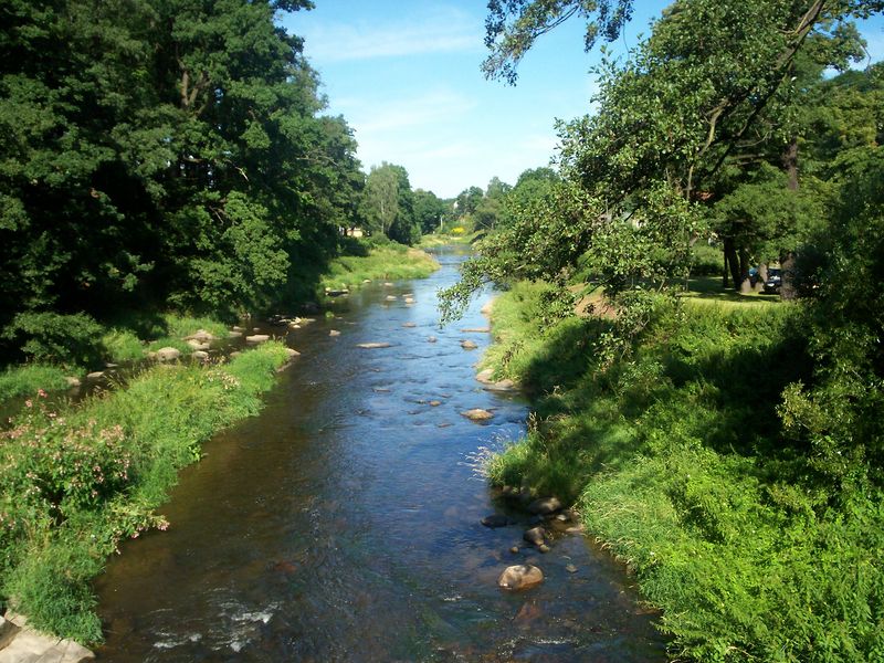 Soubor:Janowice Wielkie, Bobr 1.jpg