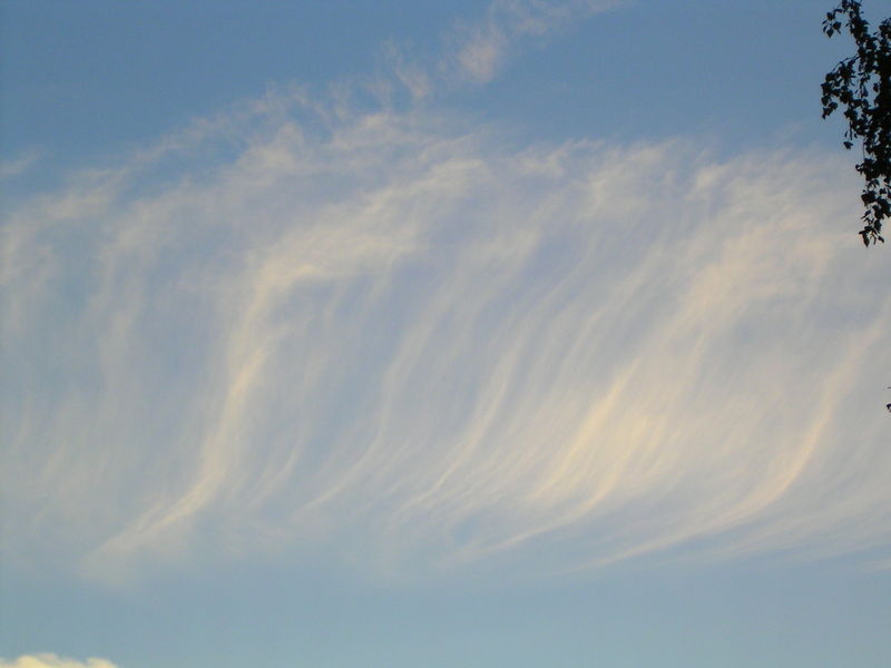 Soubor:Long Cirrus fibratus.jpg