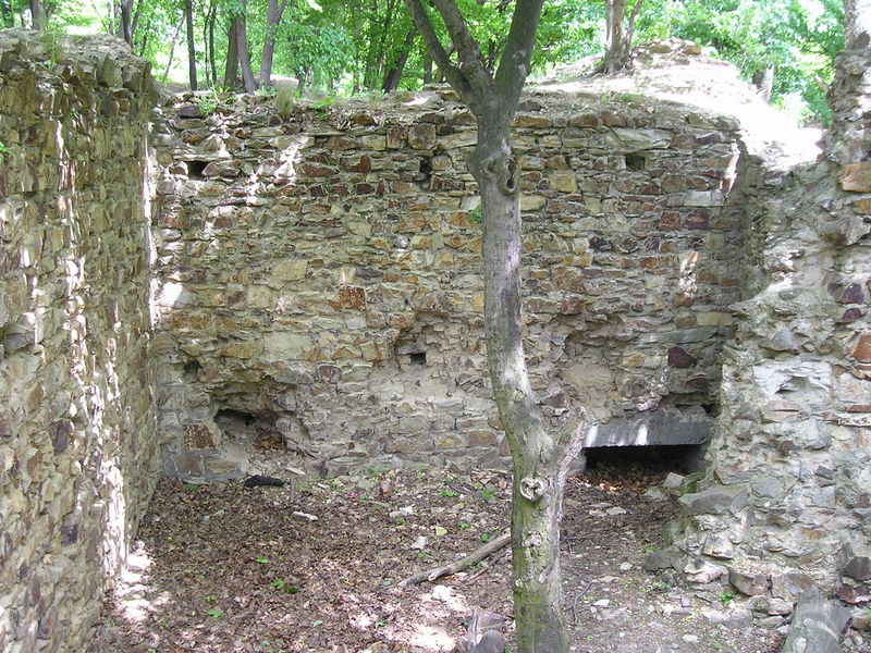 Soubor:Nový Hrad1.JPG