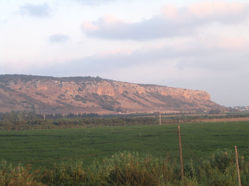 Soubor:Caiobadner - mount carmel.JPG