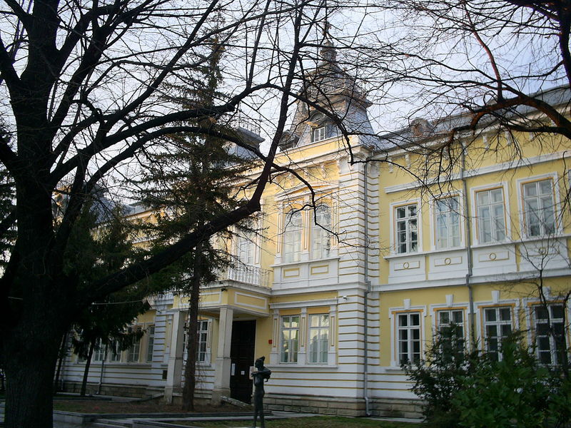 Soubor:Silistra-art-gallery-Svik.jpg