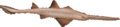 BlueSphere2-sawfish.png