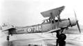 Blackburn-shark-torpedo-bomber-04.png