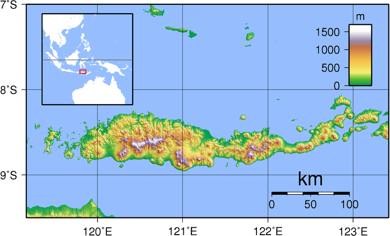 Soubor:Flores Topography.png