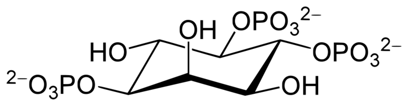 Soubor:Inositol 1,4,5-trisphosphate.png