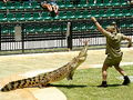 Steve Irwin, December 2005.jpg